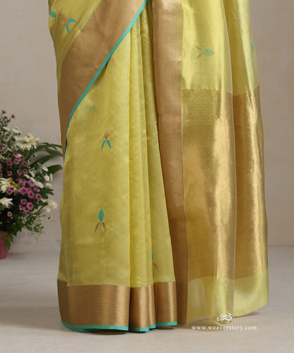 Lemon_Green_Handloom_Pure_Silk_Chanderi_Eknaliya_Saree_With_Gold_Saffron_Border_And_Ice_Blue_Selvedge_WeaverStory_04