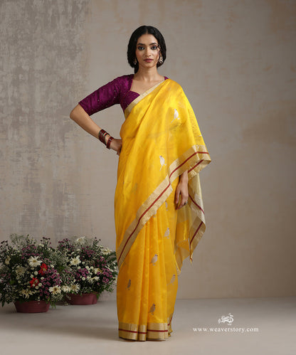 Yellow_Handloom_Pure_Silk_Chanderi_Saree_With_Bird_Motifs_And_Meena_WeaverStory_02