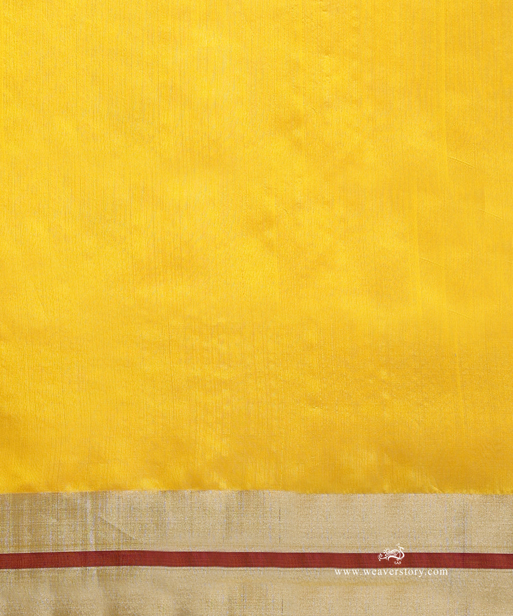 Yellow_Handloom_Pure_Silk_Chanderi_Saree_With_Bird_Motifs_And_Meena_WeaverStory_05