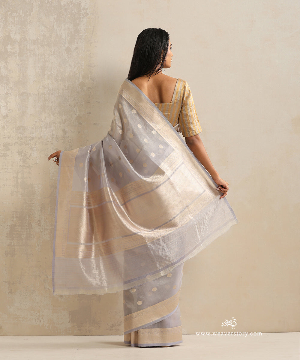 Handloom_Grey_Pure_Katan_Tissue_Kadhwa_Banarasi_Saree_With_Ginni_Booti_WeaverStory_03