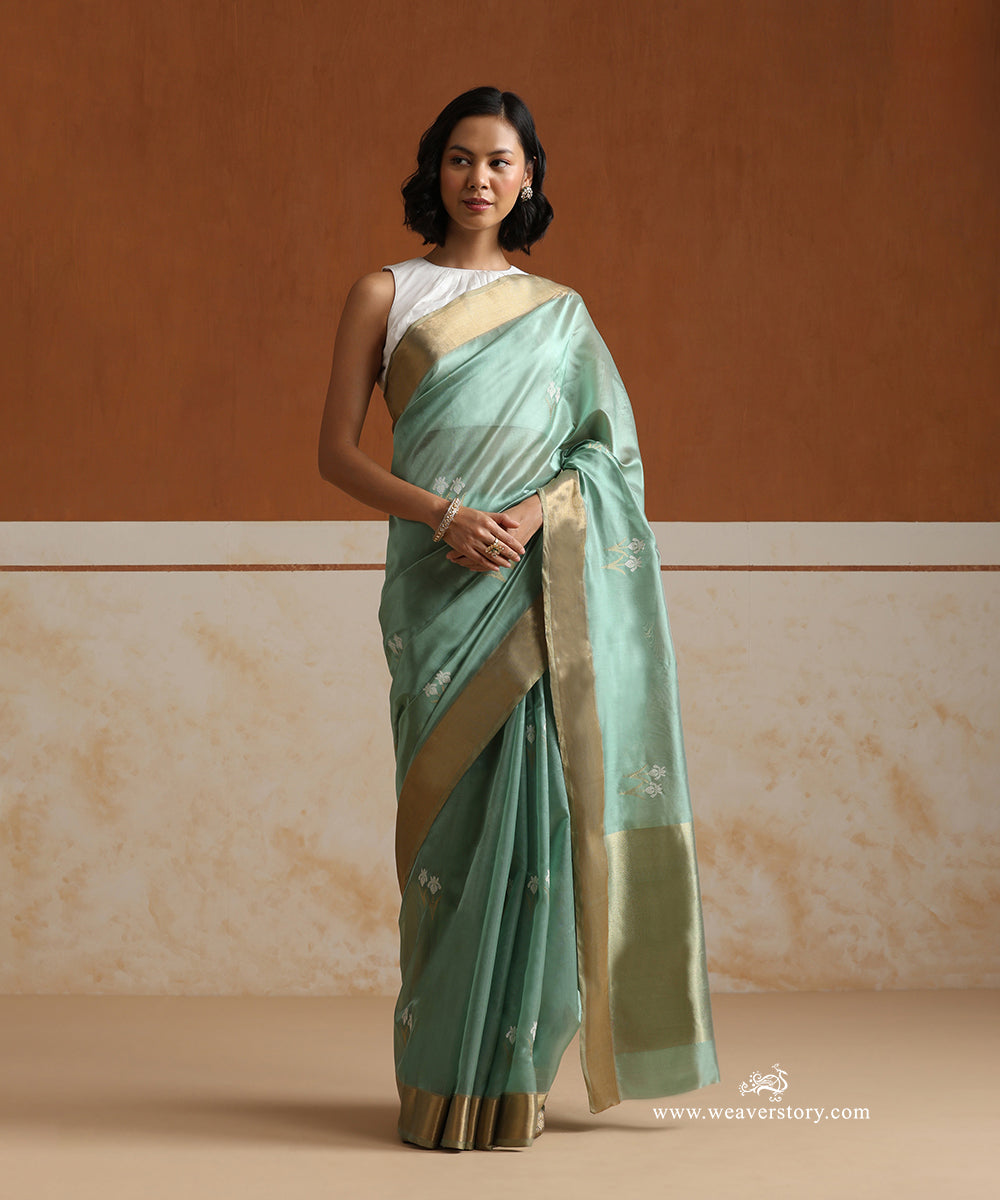 Pastel_Green_Handloom_Pure_Silk_Chanderi_Saree_With_Water_Lily_Flowers_Motifs_And_Gold_Zari_Border_WeaverStory_01