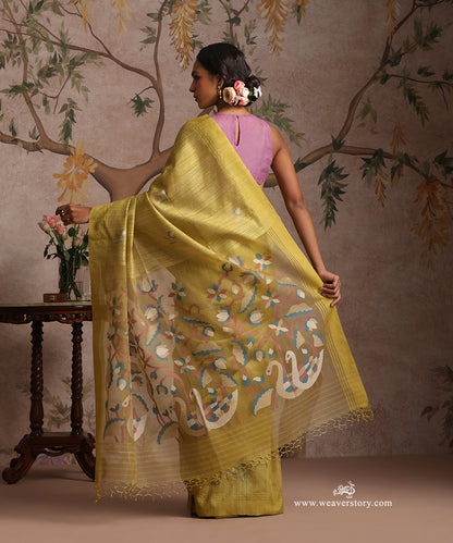 Mustard_Handloom_Pure_Matka_Silk_Dhakai_Jamdani_Saree_With_Swan_Muslin_Jamdani_Pallu_WeaverStory_04