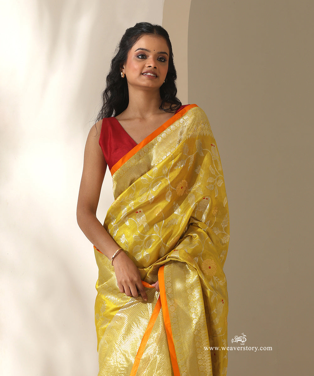Olive_Handloom_Pure_Silk_Chanderi_Donaliya_Saree_With_Allover_Jaal_And_Birds_Motif_WeaverStory_02
