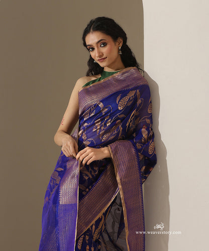 Blue_Handloom_Pure_Silk_Chanderi_Donaliya_Saree_With_Allover_Peocock_And_Parrot_Jaal_WeaverStory_02