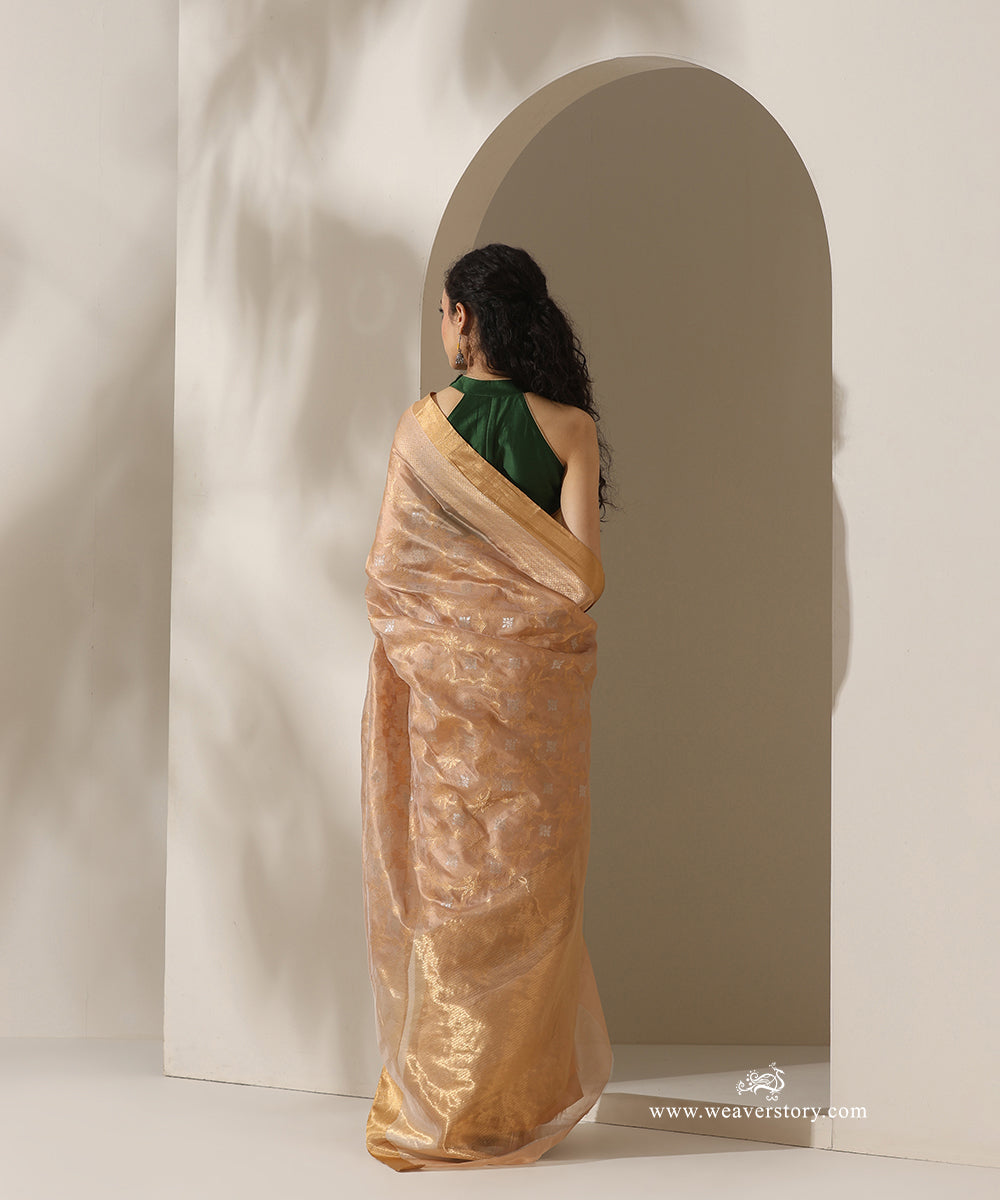 Gold_Handloom_Pure_Silk_Chanderi_Donaliya_Saree_With_Allover_Jaal_And_Heavy_Border_WeaverStory_03