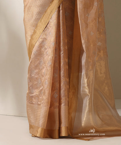 Gold_Handloom_Pure_Silk_Chanderi_Donaliya_Saree_With_Allover_Jaal_And_Heavy_Border_WeaverStory_04