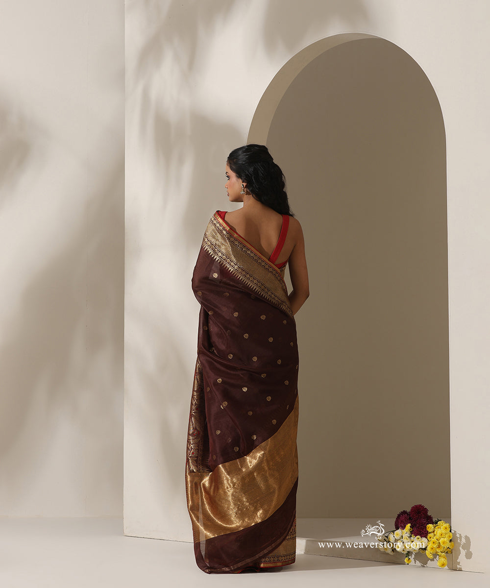 Brown_Handloom_Pure_Silk_Chanderi_Eknaliya_Saree_With_Small_Booti_And_Pecock_Border_Red_Selvedge_WeaverStory_03
