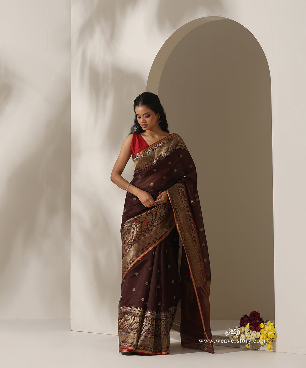 Brown_Handloom_Pure_Silk_Chanderi_Eknaliya_Saree_With_Small_Booti_And_Pecock_Border_Red_Selvedge_WeaverStory_01