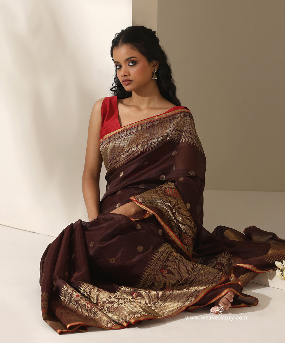 Brown_Handloom_Pure_Silk_Chanderi_Eknaliya_Saree_With_Small_Booti_And_Pecock_Border_Red_Selvedge_WeaverStory_02