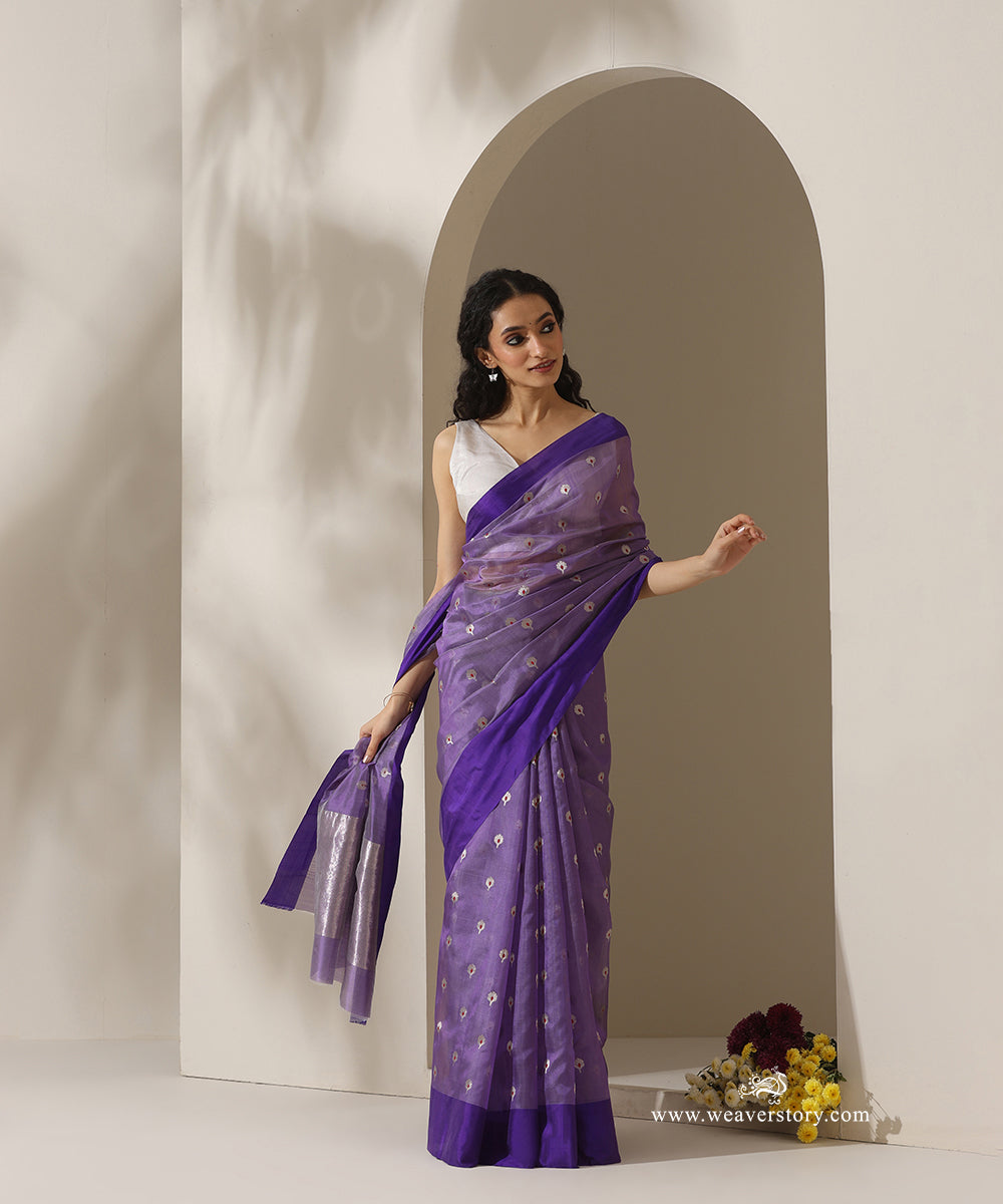 Light_Lavender_Handloom_Pure_Silk_Chanderi_Eknaliya_Saree_With_Red_Meena_Small_Booti_And_Violet_Border_WeaverStory_01