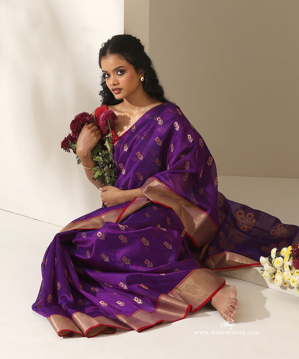 Red_Handloom_Pure_Silk_Chanderi_Eknaliya_Saree_With_Multi_Meena_Booti_WeaverStory_02