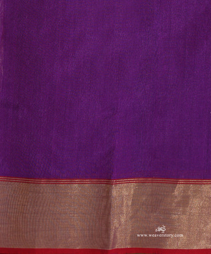 Red_Handloom_Pure_Silk_Chanderi_Eknaliya_Saree_With_Multi_Meena_Booti_WeaverStory_05