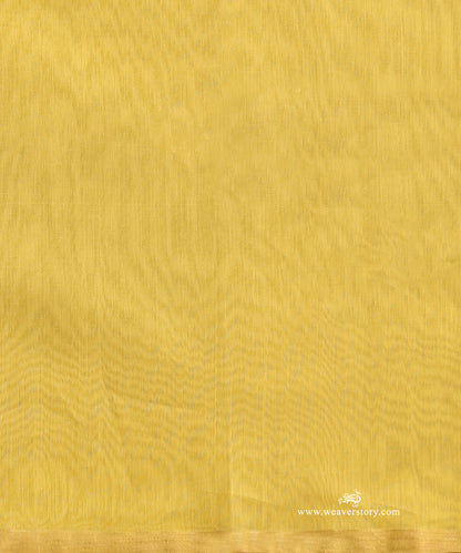 Yellow_Handloom_Plain_Eknaliya_Chanderi_Saree_With_Gold_Selvedge_WeaverStory_05