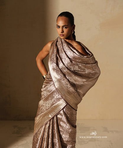 Gold Handloom Pure Silk Tissue Tanchoi Banarasi Saree With Brown Selvedge