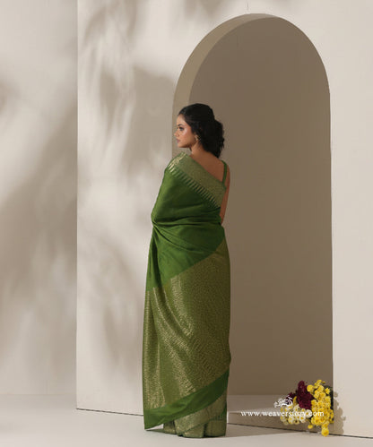 Olive_Green_Handloom_Plain_With_Broad_Border_Cotton_Silk_Chanderi_Saree_WeaverStory_03