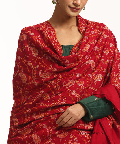 Handwoven Red Pure Pashmina Shawl With All Over Sozni Kari Jaal