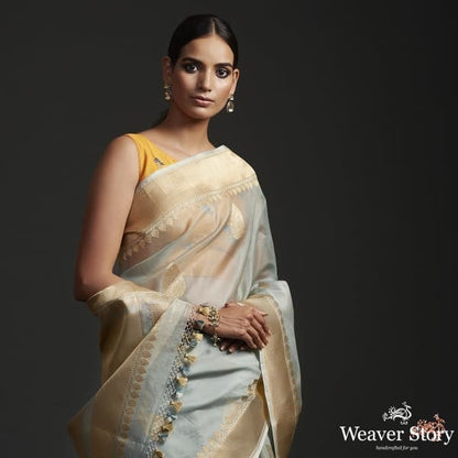 Ice_Grey_kora_silk_saree_with_kadhwa_motifs_WeaverStory_01