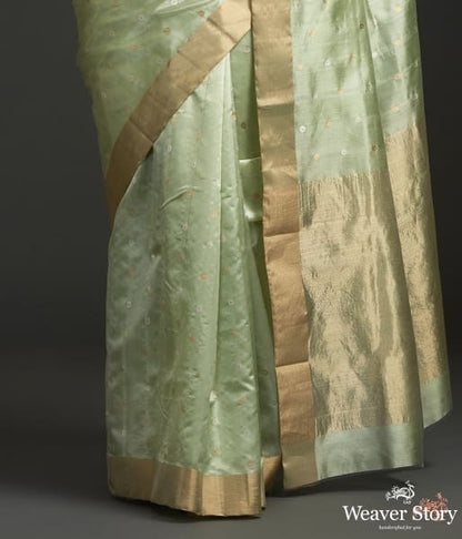 Handwoven_pistachio_green_Chanderi_silk_saree_WeaverStory_04