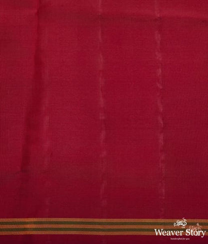 Pure_silk_Gujarat_Patola_saree_in_green_and_red_traditional_design_WeaverStory_05