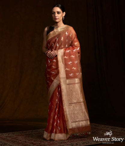 Rust_kora_silk_banarasi_saree_with_Pelicans_woven_in_kadhwa_weave_WeaverStory_02