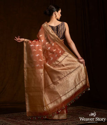 Rust_kora_silk_banarasi_saree_with_Pelicans_woven_in_kadhwa_weave_WeaverStory_03