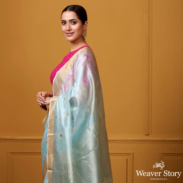 Handwoven_Sky_Blue_Small_Asharfi_Boota_Saree_With_Red_Meena_WeaverStory_01