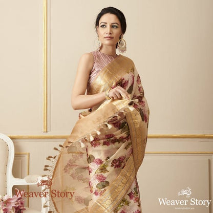 Handwoven_Printed_Organza_Saree_WeaverStory_01