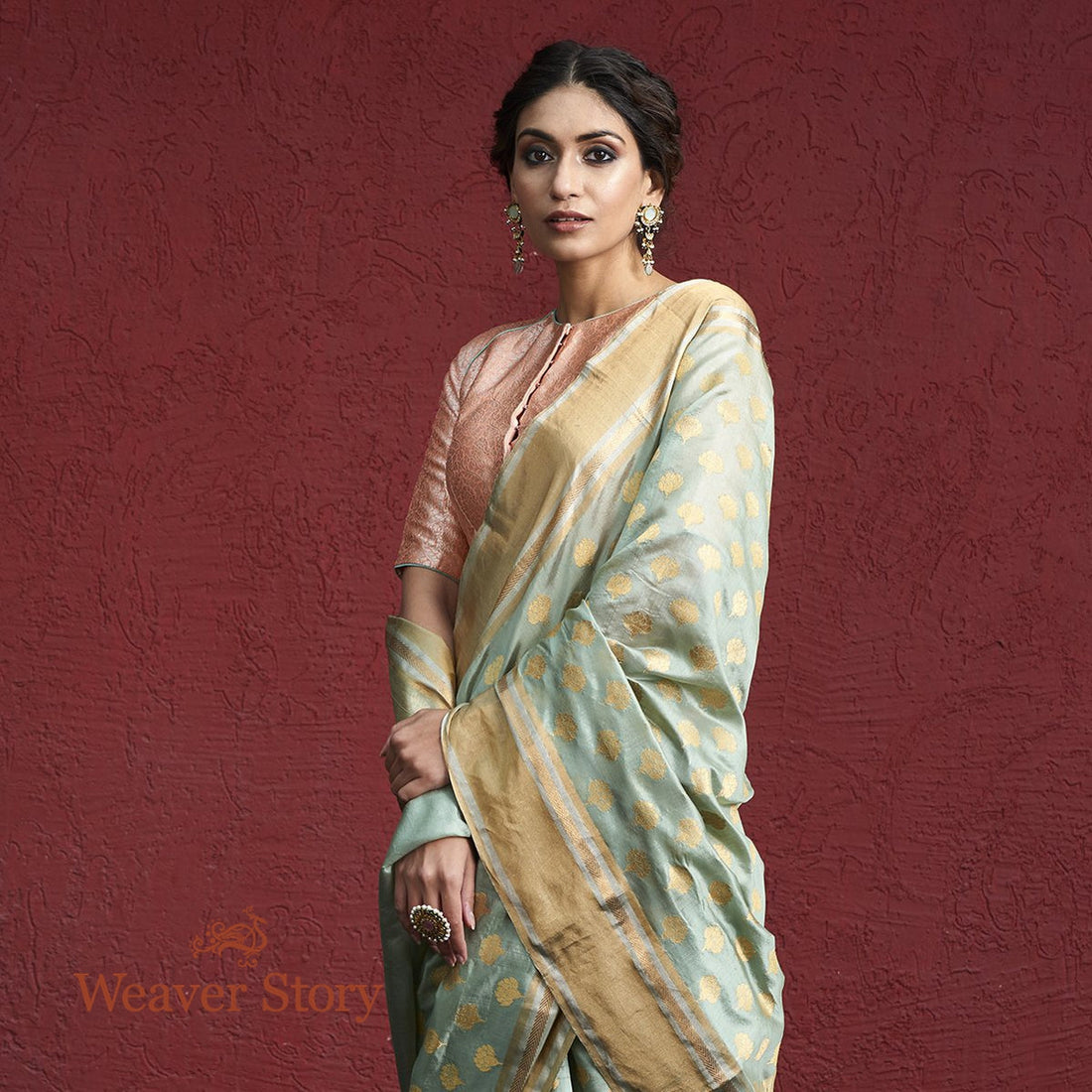 Handwoven_Chanderi_Silk_Saree_in_Powder_Blue_with_Floral_Motifs_WeaverStory_01