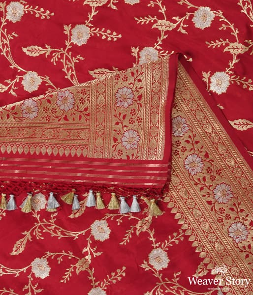 Handwoven_Red_and_Rani_Dual_Tone_Sona_Rupa_Kadhwa_Jaal_Dupatta_WeaverStory_01