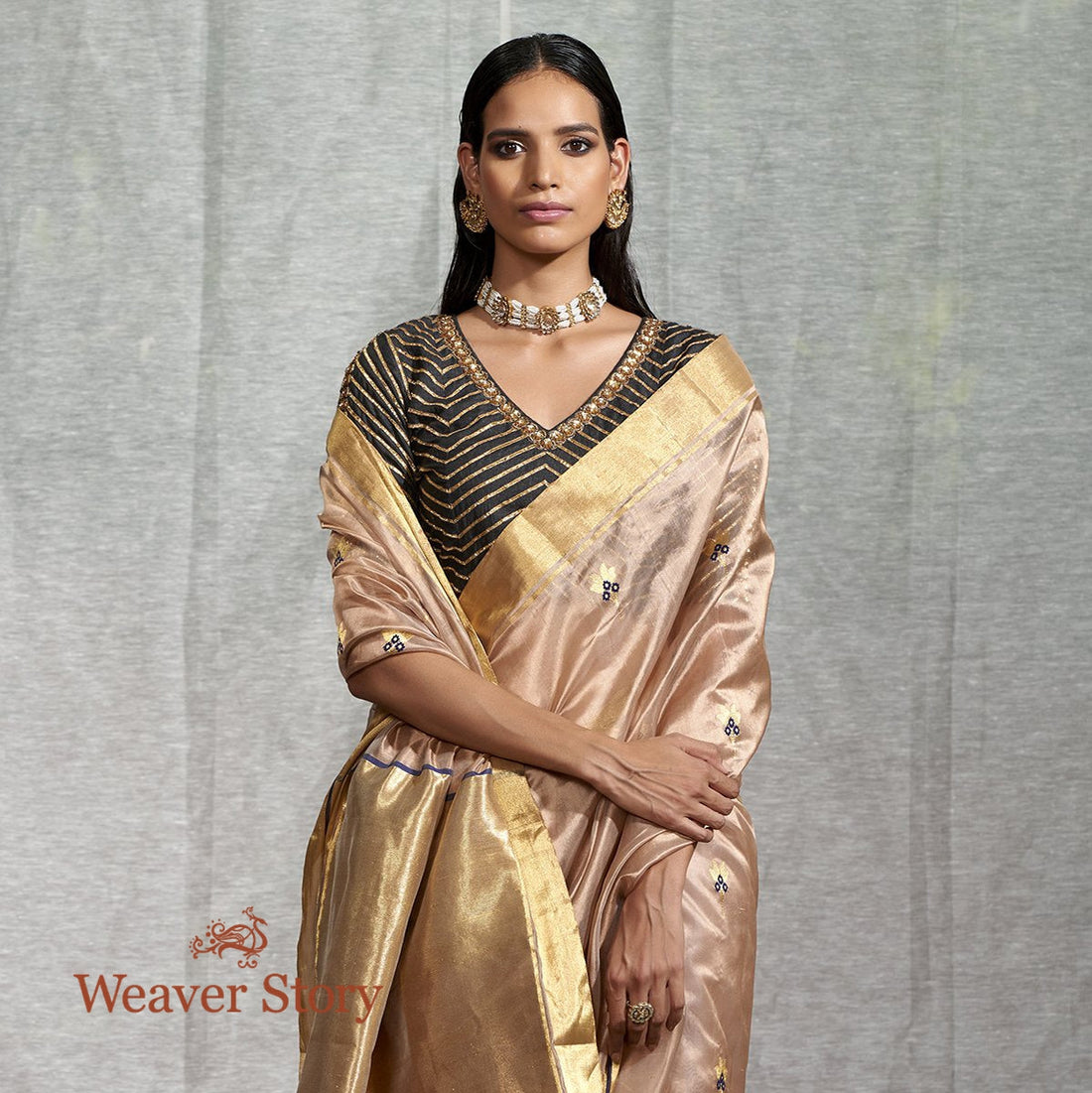 Handwoven_Light_Brown_Silk_Chanderi_Saree_with_Floral_Booti_and_Blue_Meenakari_WeaverStory_01