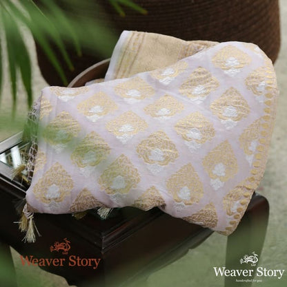 Handwoven_Banarasi_Georgette_Cutwork_Dupatta_WeaverStory_01