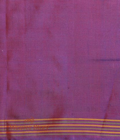 Handwoven_Blue_and_Teal_Dual_Tone_Gujarat_Patola_Saree_with_Purple_Border_WeaverStory_05