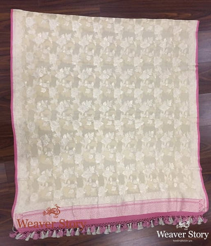 Handwoven_Banarasi_Georgette_Dupatta_in_Beige_with_Pink_WeaverStory_02