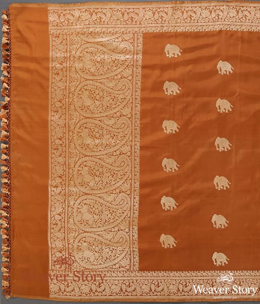 Handwoven_Brown_Shikargah_Dupatta_with_Elephant_Motif_WeaverStory_02