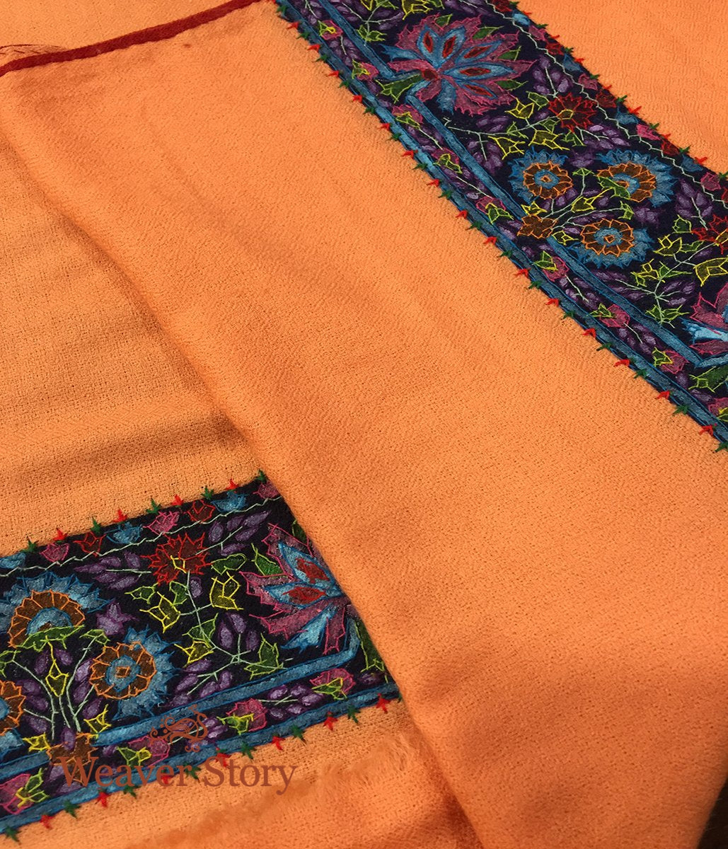 Peach_Pashmina_Stole_with_Blue_Border_WeaverStory_02