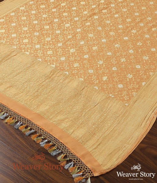 Handwoven_Banarasi_Georgette_Cutwork_Dupatta_WeaverStory_02