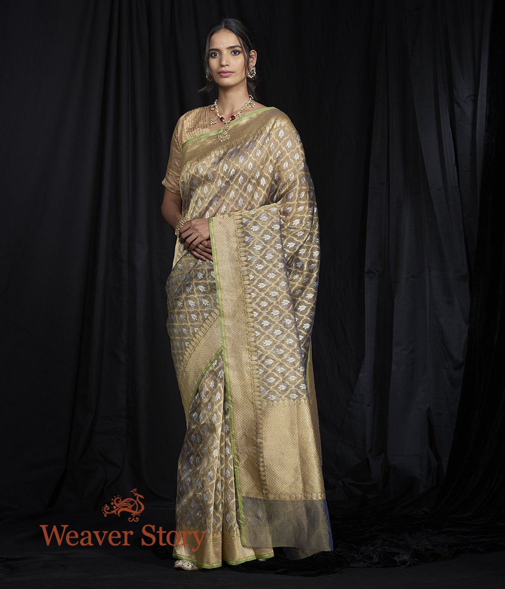 Handwoven_Grey_Silk_Tissue_Saree_with_Cutwork_Weave_WeaverStory_02