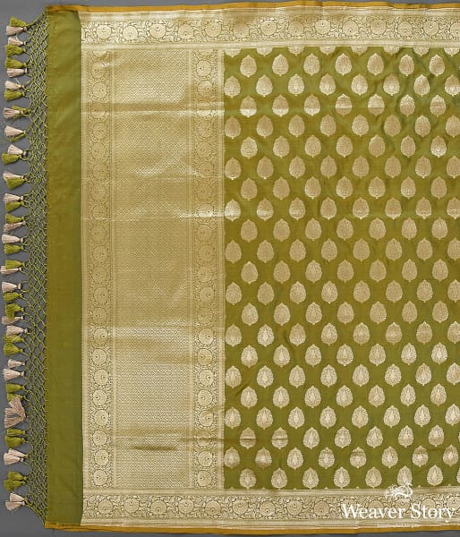 Handwoven_Green_Katan_Silk_Cutwork_Booti_Dupatta_WeaverStory_02