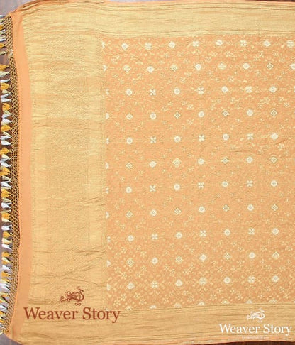 Handwoven_Banarasi_Georgette_Cutwork_Dupatta_WeaverStory_03