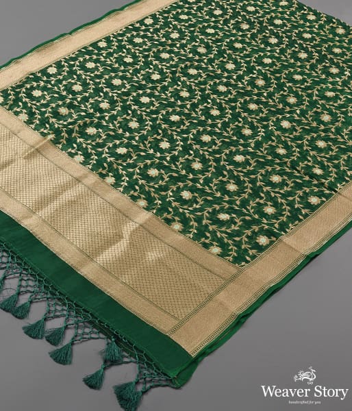 Handwoven_Green_Organza_Meenakari_Jaal_Dupatta_WeaverStory_03