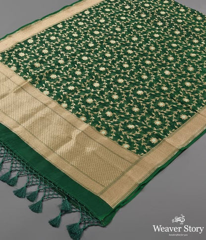 Handwoven_Green_Organza_Meenakari_Jaal_Dupatta_WeaverStory_03