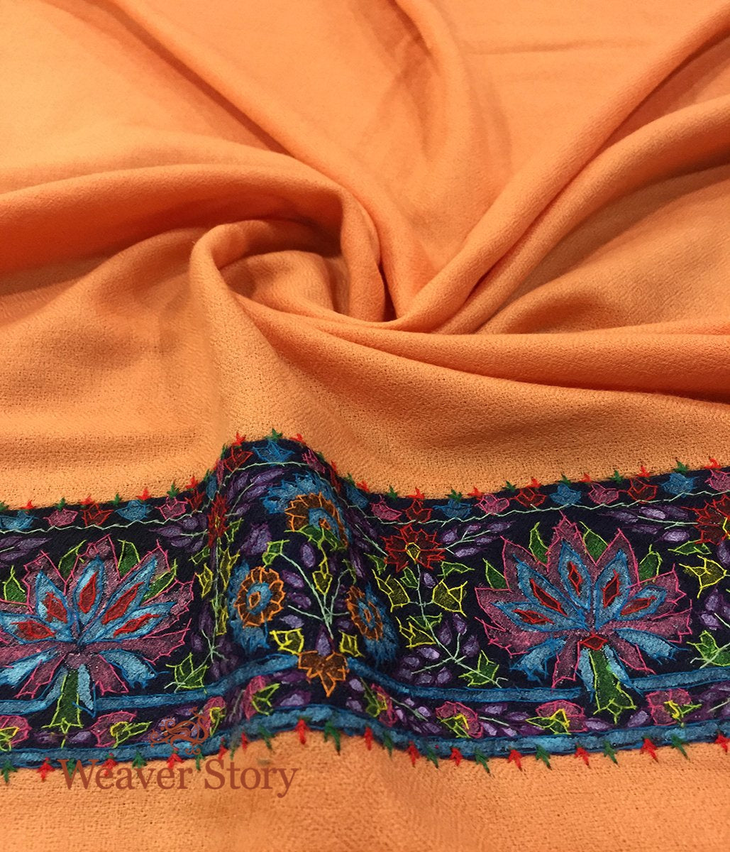 Peach_Pashmina_Stole_with_Blue_Border_WeaverStory_03