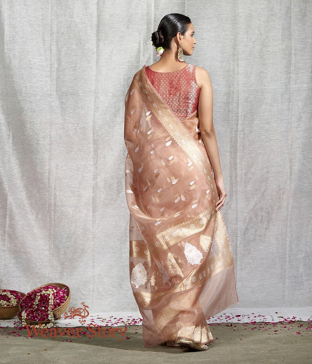 Handwoven_Soft_Brown_Sona_Rupa_Booti_Saree_With_Floral_Border_WeaverStory_03