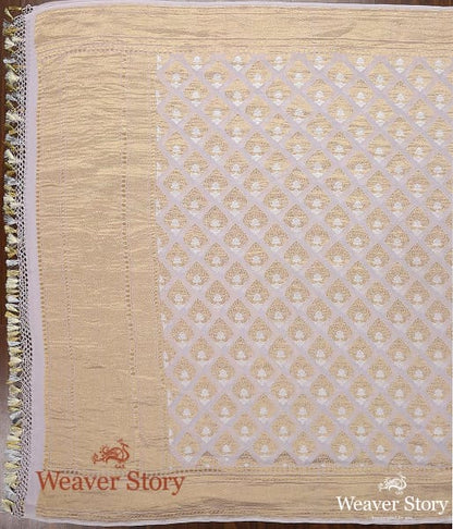 Handwoven_Banarasi_Georgette_Cutwork_Dupatta_WeaverStory_03