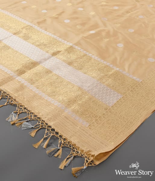 Handwoven_Golden_Beige_Kadhwa_Booti_Dupatta_with_Floral_Border_WeaverStory_03