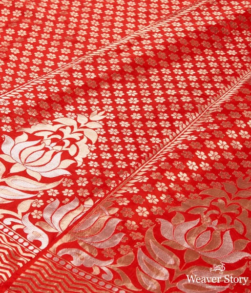 Katan_Silk_Handloom_Red_Banarasi_Lehenga_with_Blouse_and_Borders_WeaverStory_03