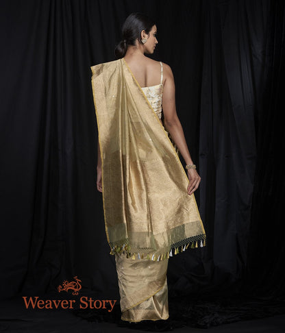 Handwoven_Gold_Tissue_Saree_with_Small_Booti_WeaverStory_03