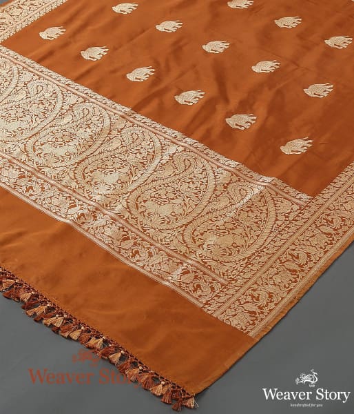 Handwoven_Brown_Shikargah_Dupatta_with_Elephant_Motif_WeaverStory_03