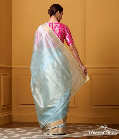 Handwoven_Sky_Blue_Small_Asharfi_Boota_Saree_With_Red_Meena_WeaverStory_03