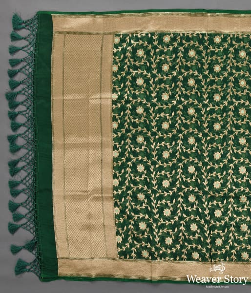 Handwoven_Green_Organza_Meenakari_Jaal_Dupatta_WeaverStory_04